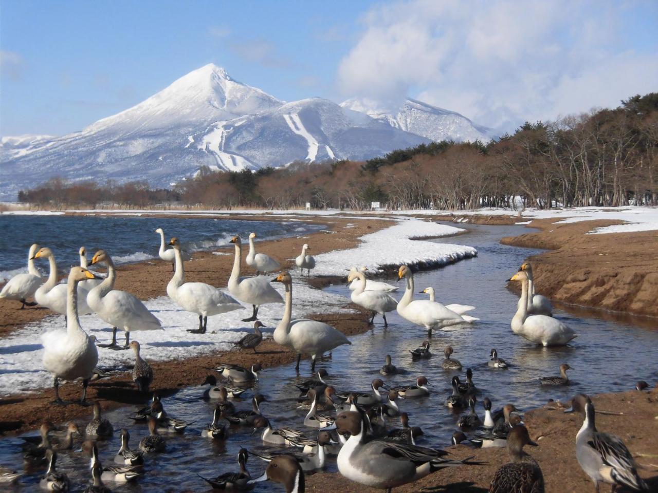 Lakeside Banko Hotel Inawashiro Bagian luar foto